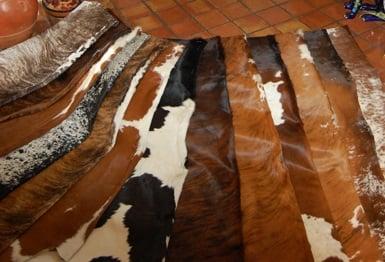 Hides & Skins Inc., Brazil Cowhide Rugs