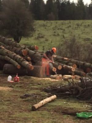 Matthew is cutting up logs and turning them into fire wood!