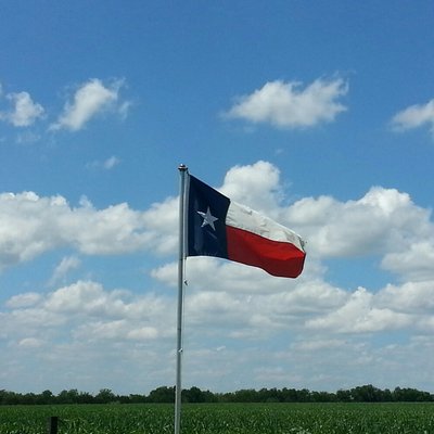 My flag and flagpole always look great thanks to the Flag Guys!