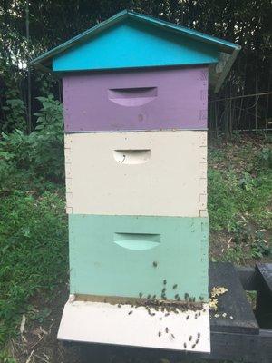 Manole Bee Hives