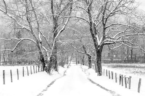 Winter At Cades Cove