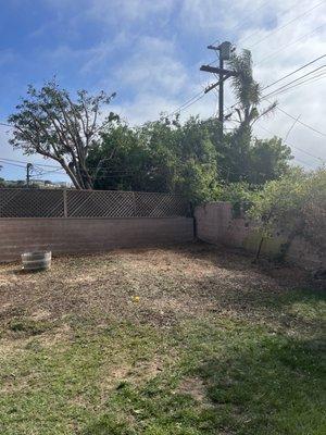 Everest Tree Service