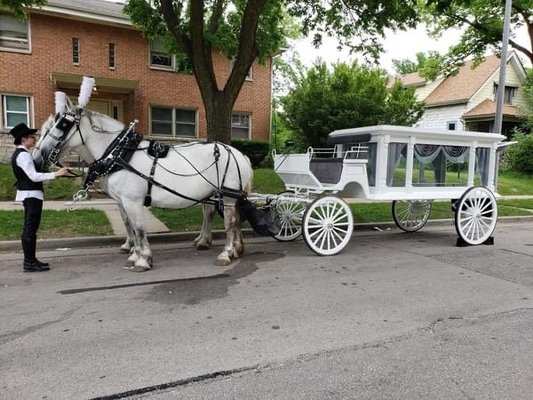 White Horse Drawn Hearse