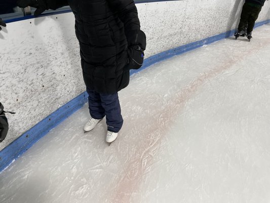 Horgan Skating Arena