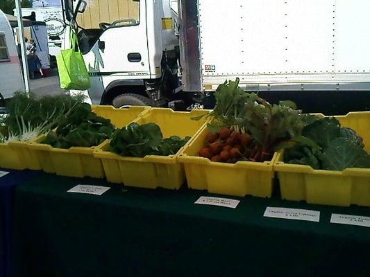 Sample of produce available from Mattawoman Creek Farms at Old Beach Farmer's Market.