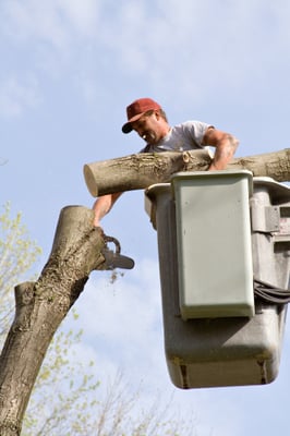 Pete's Tree Service