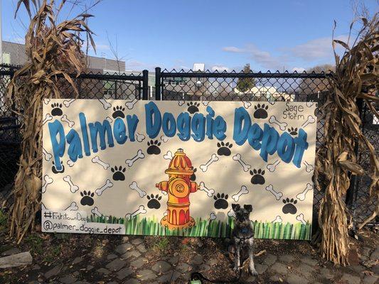 Palmer Doggie Depot