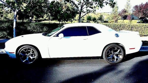 Pitch black tints came out clean on my all white Challenger. Love it!