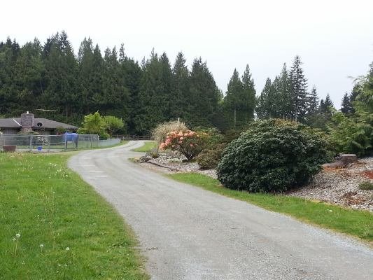 View out the driveway looking south