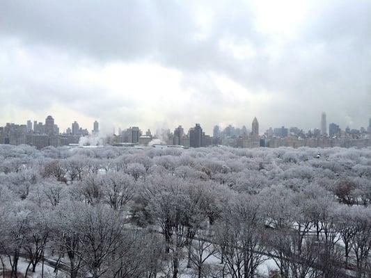 Winter View of Central Park, New York City