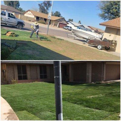 Sod Installation