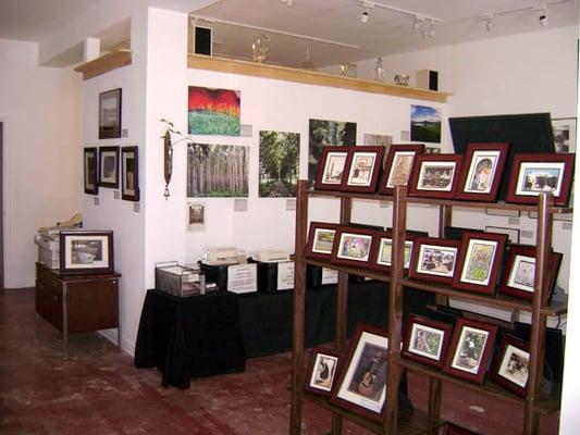 Gallery View