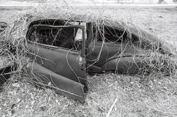 Aerodynamic design automobile built for the high speed turnpike, now retired in farmfield in Eutawville, SC.