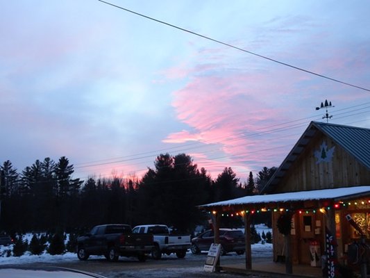 A beautiful sunset over Paine's Tree Farm