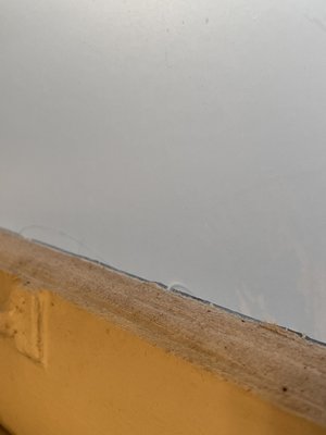 Layer of dust on windowsills, untouched.