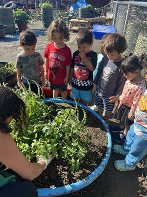 Gardening day