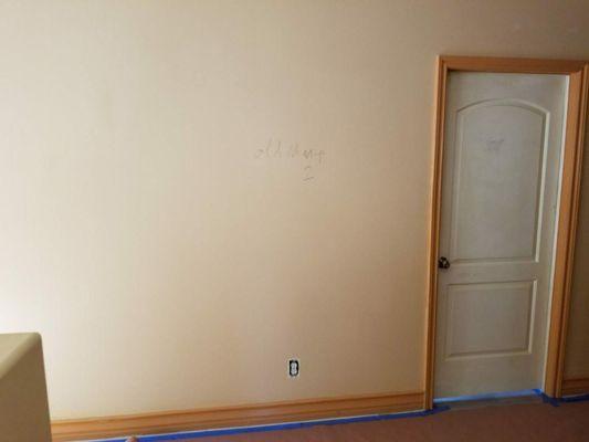 Paint Removal / Painting / Plaster & Drywall Services