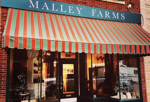 Malley Farms