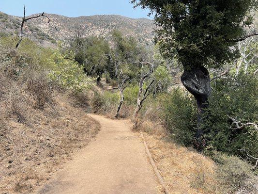 All the way up.. higher along the trail