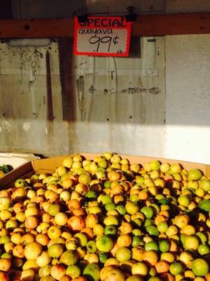 Walk up to the front and be greeted with the lovely fragrance of these guayava. Man-- I wish you could experience it.