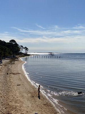 Morning stroll on private beach