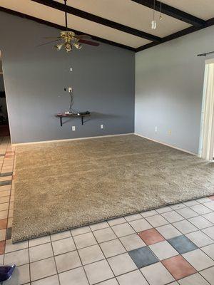 Living room; normal carpet with an edge banding to make it like a giant area rug.