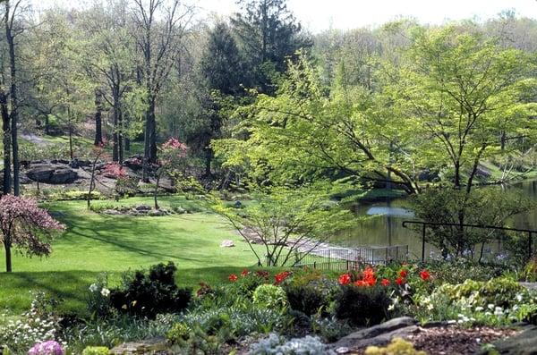 Deer Landscape NY, Westchester NY Rock Garden, NYS Landscape Garden Restoration