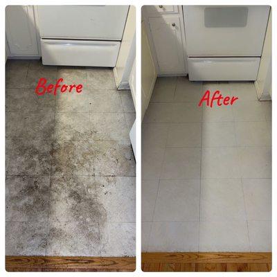 Looking for reliability? Book Squeaky Fresh Deep Cleaning Services