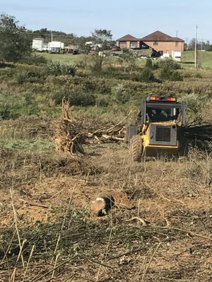 Land clearing