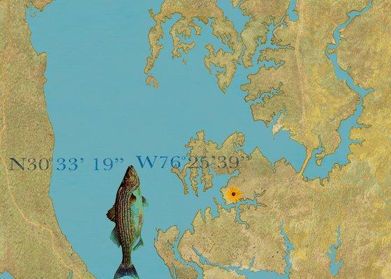 Chesapeake Bay Fishing Coordinates Map Art