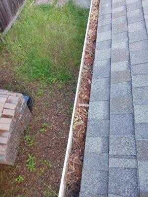 BEFORE gutter cleaning