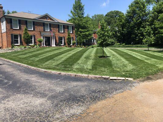 How does this yard look so amazing? West County Gardens Inc. Turned this yard from an eye sore to and eye catcher!  Spring is the best time!