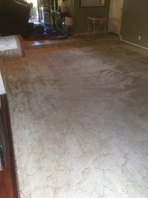 Finished carpet cleaning