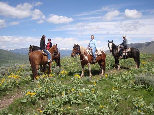 A-OK Corral horseback ride