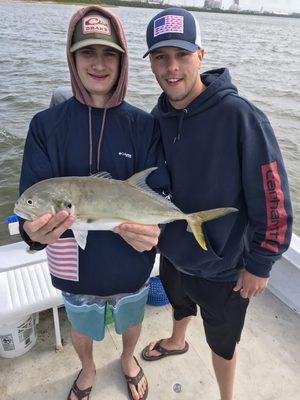 Jack crevalle