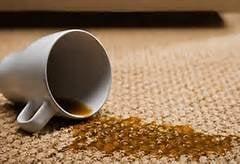 Same Day Carpet Cleaning