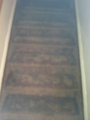 Scott's Carpet