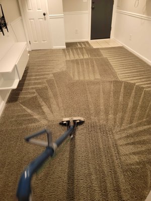 Making your carpet look new is our specialty!