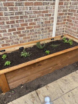 Raised bed perennial herb garden