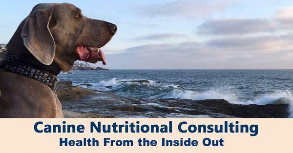 In 2016 we launched our Canine Nutrition Business