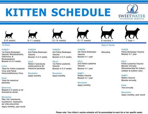 Helpful handout for your cats vaccinations schedule.