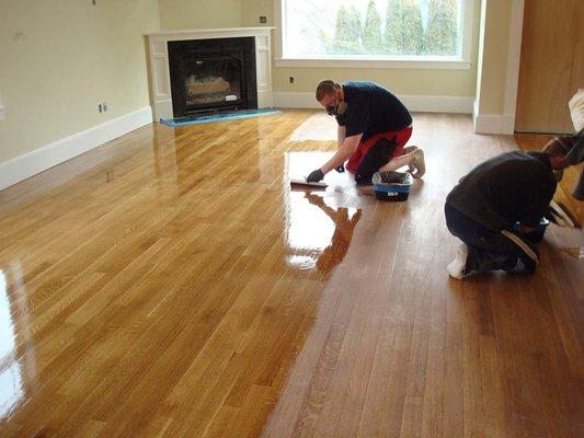 Floor Restoration