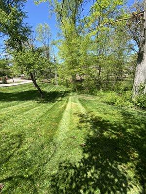 First Choice Mowing and Lawn