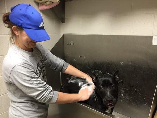 Bath time for a new resident