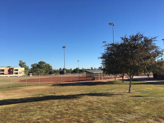 Beautiful field at Yavapai Fields.