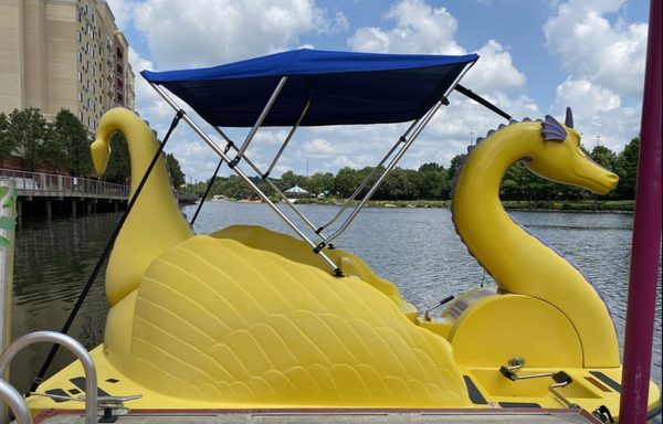 We offer Canopy Paddle Boats for just $5 extra