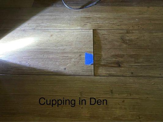 Cupping at seams in den