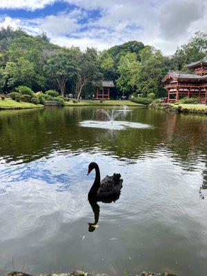 THE BYODO-IN TEMPLE