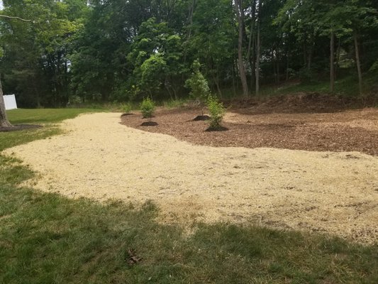 Land reclamation, lawn installation and planting