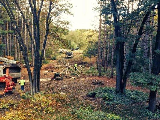 Lot Clearing East Gull Lake  MN